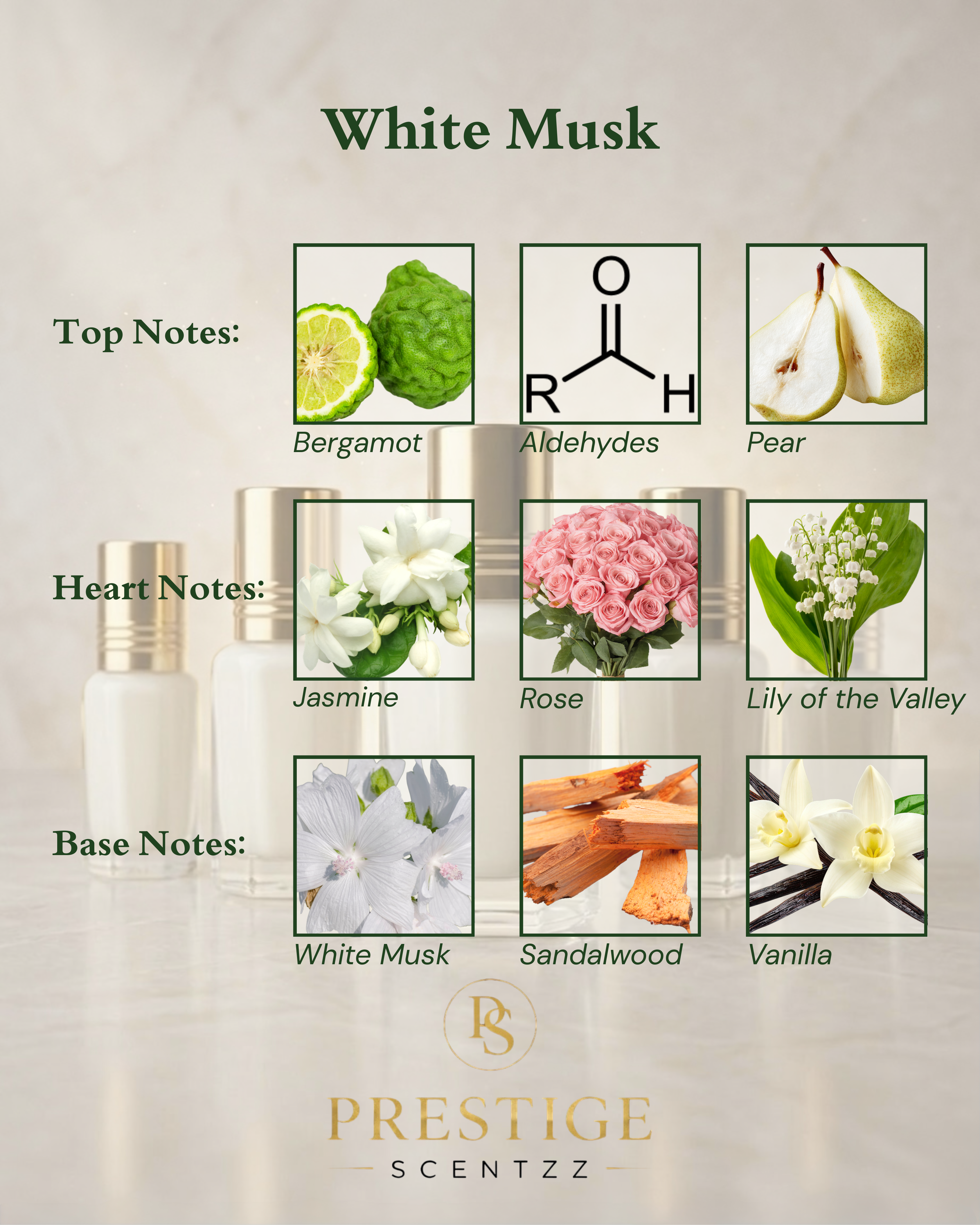 Diagram of White Musk fragrance with notes and images of ingredients on a beige background.